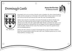 Drominagh Castle